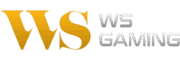 WS Gaming